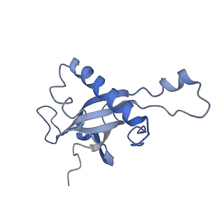 4751_6r84_b_v1-2
Yeast Vms1 (Q295L)-60S ribosomal subunit complex (pre-state with Arb1)