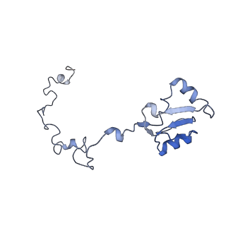 4751_6r84_c_v1-2
Yeast Vms1 (Q295L)-60S ribosomal subunit complex (pre-state with Arb1)