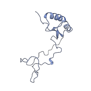 4751_6r84_g_v1-2
Yeast Vms1 (Q295L)-60S ribosomal subunit complex (pre-state with Arb1)