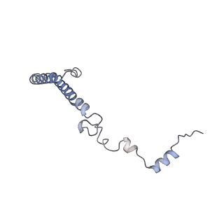 4751_6r84_j_v1-2
Yeast Vms1 (Q295L)-60S ribosomal subunit complex (pre-state with Arb1)
