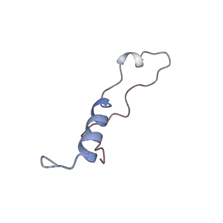 4751_6r84_n_v1-2
Yeast Vms1 (Q295L)-60S ribosomal subunit complex (pre-state with Arb1)