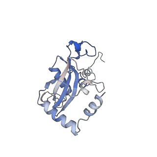 4751_6r84_p_v1-2
Yeast Vms1 (Q295L)-60S ribosomal subunit complex (pre-state with Arb1)