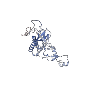 4751_6r84_s_v1-2
Yeast Vms1 (Q295L)-60S ribosomal subunit complex (pre-state with Arb1)