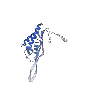 4752_6r86_5_v1-0
Yeast Vms1-60S ribosomal subunit complex (post-state)