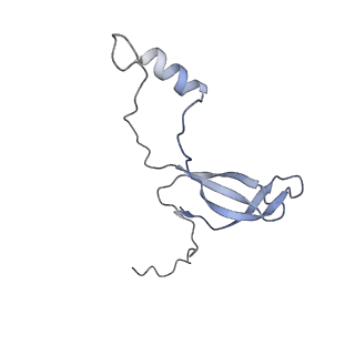 4752_6r86_C_v1-0
Yeast Vms1-60S ribosomal subunit complex (post-state)