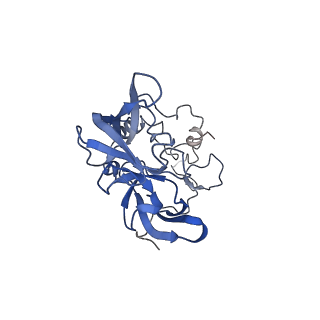 4752_6r86_E_v1-0
Yeast Vms1-60S ribosomal subunit complex (post-state)
