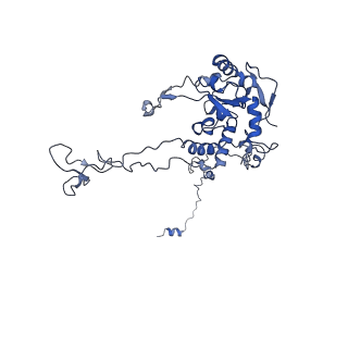 4752_6r86_G_v1-0
Yeast Vms1-60S ribosomal subunit complex (post-state)