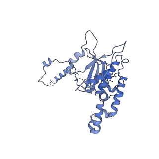 4752_6r86_H_v1-0
Yeast Vms1-60S ribosomal subunit complex (post-state)