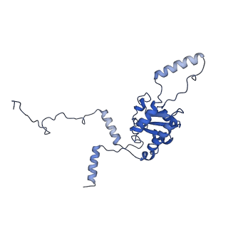 4752_6r86_K_v1-0
Yeast Vms1-60S ribosomal subunit complex (post-state)