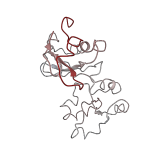 4752_6r86_L_v1-0
Yeast Vms1-60S ribosomal subunit complex (post-state)