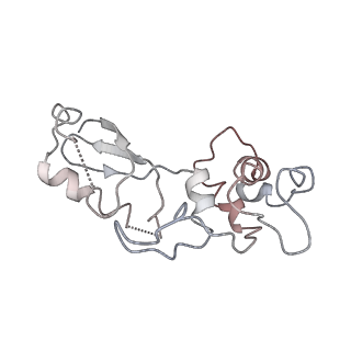 4752_6r86_P_v1-0
Yeast Vms1-60S ribosomal subunit complex (post-state)