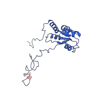 4752_6r86_S_v1-0
Yeast Vms1-60S ribosomal subunit complex (post-state)