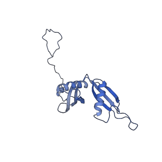 4752_6r86_U_v1-0
Yeast Vms1-60S ribosomal subunit complex (post-state)