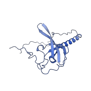 4752_6r86_V_v1-0
Yeast Vms1-60S ribosomal subunit complex (post-state)
