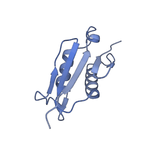 4752_6r86_W_v1-0
Yeast Vms1-60S ribosomal subunit complex (post-state)