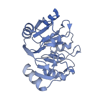 4752_6r86_X_v1-0
Yeast Vms1-60S ribosomal subunit complex (post-state)