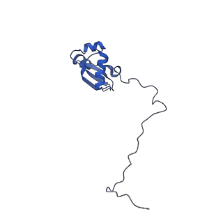 4752_6r86_Z_v1-0
Yeast Vms1-60S ribosomal subunit complex (post-state)