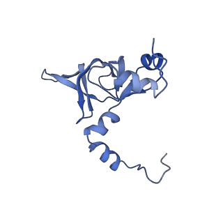 4752_6r86_a_v1-0
Yeast Vms1-60S ribosomal subunit complex (post-state)