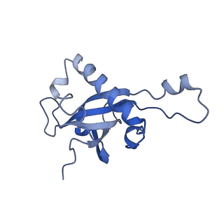 4752_6r86_b_v1-0
Yeast Vms1-60S ribosomal subunit complex (post-state)