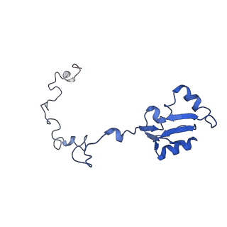 4752_6r86_c_v1-0
Yeast Vms1-60S ribosomal subunit complex (post-state)