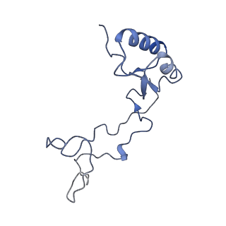 4752_6r86_g_v1-0
Yeast Vms1-60S ribosomal subunit complex (post-state)