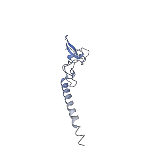 4752_6r86_i_v1-0
Yeast Vms1-60S ribosomal subunit complex (post-state)