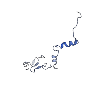 4752_6r86_l_v1-0
Yeast Vms1-60S ribosomal subunit complex (post-state)