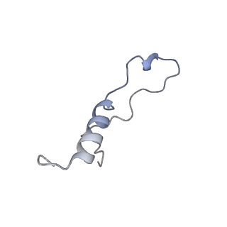 4752_6r86_n_v1-0
Yeast Vms1-60S ribosomal subunit complex (post-state)