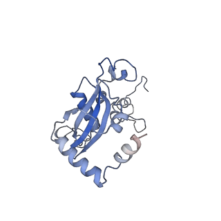 4752_6r86_p_v1-0
Yeast Vms1-60S ribosomal subunit complex (post-state)
