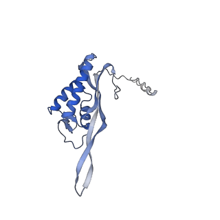 4753_6r87_5_v1-2
Yeast Vms1 (Q295L)-60S ribosomal subunit complex (pre-state without Arb1)