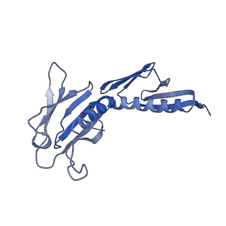 4753_6r87_7_v1-2
Yeast Vms1 (Q295L)-60S ribosomal subunit complex (pre-state without Arb1)
