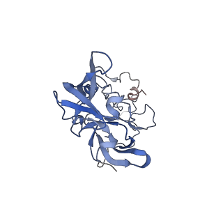 4753_6r87_E_v1-2
Yeast Vms1 (Q295L)-60S ribosomal subunit complex (pre-state without Arb1)
