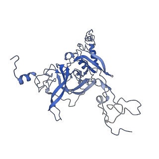 4753_6r87_F_v1-2
Yeast Vms1 (Q295L)-60S ribosomal subunit complex (pre-state without Arb1)