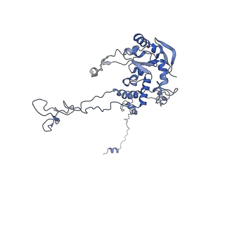 4753_6r87_G_v1-2
Yeast Vms1 (Q295L)-60S ribosomal subunit complex (pre-state without Arb1)