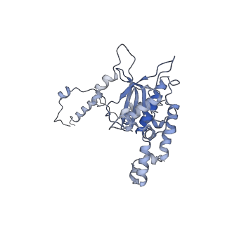 4753_6r87_H_v1-2
Yeast Vms1 (Q295L)-60S ribosomal subunit complex (pre-state without Arb1)