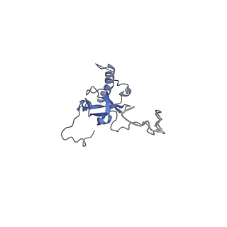 4753_6r87_I_v1-2
Yeast Vms1 (Q295L)-60S ribosomal subunit complex (pre-state without Arb1)