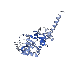 4753_6r87_J_v1-2
Yeast Vms1 (Q295L)-60S ribosomal subunit complex (pre-state without Arb1)