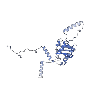 4753_6r87_K_v1-2
Yeast Vms1 (Q295L)-60S ribosomal subunit complex (pre-state without Arb1)