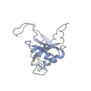4753_6r87_M_v1-2
Yeast Vms1 (Q295L)-60S ribosomal subunit complex (pre-state without Arb1)
