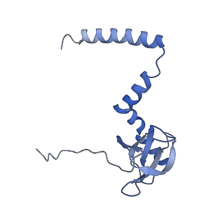 4753_6r87_O_v1-2
Yeast Vms1 (Q295L)-60S ribosomal subunit complex (pre-state without Arb1)