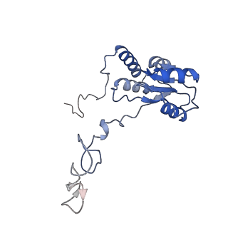 4753_6r87_S_v1-2
Yeast Vms1 (Q295L)-60S ribosomal subunit complex (pre-state without Arb1)