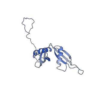 4753_6r87_U_v1-2
Yeast Vms1 (Q295L)-60S ribosomal subunit complex (pre-state without Arb1)