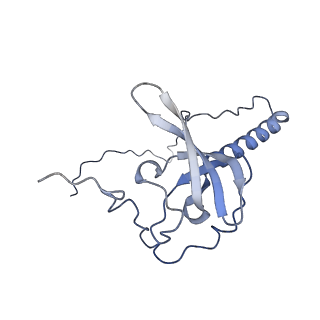 4753_6r87_V_v1-2
Yeast Vms1 (Q295L)-60S ribosomal subunit complex (pre-state without Arb1)