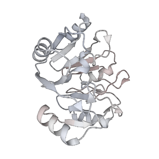 4753_6r87_X_v1-2
Yeast Vms1 (Q295L)-60S ribosomal subunit complex (pre-state without Arb1)