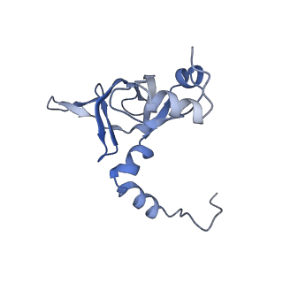 4753_6r87_a_v1-2
Yeast Vms1 (Q295L)-60S ribosomal subunit complex (pre-state without Arb1)