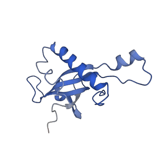 4753_6r87_b_v1-2
Yeast Vms1 (Q295L)-60S ribosomal subunit complex (pre-state without Arb1)