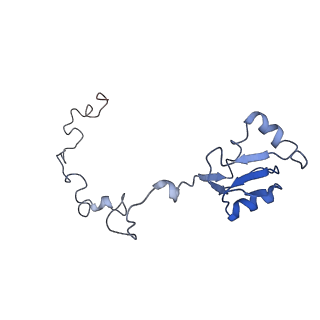 4753_6r87_c_v1-2
Yeast Vms1 (Q295L)-60S ribosomal subunit complex (pre-state without Arb1)