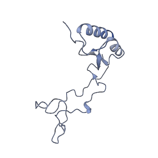 4753_6r87_g_v1-2
Yeast Vms1 (Q295L)-60S ribosomal subunit complex (pre-state without Arb1)