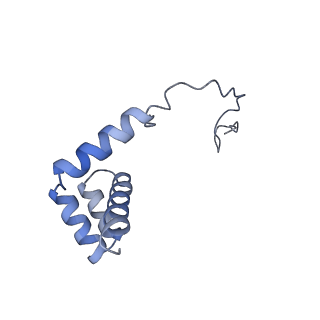 4753_6r87_k_v1-2
Yeast Vms1 (Q295L)-60S ribosomal subunit complex (pre-state without Arb1)