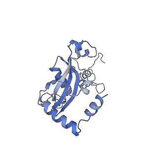 4753_6r87_p_v1-2
Yeast Vms1 (Q295L)-60S ribosomal subunit complex (pre-state without Arb1)